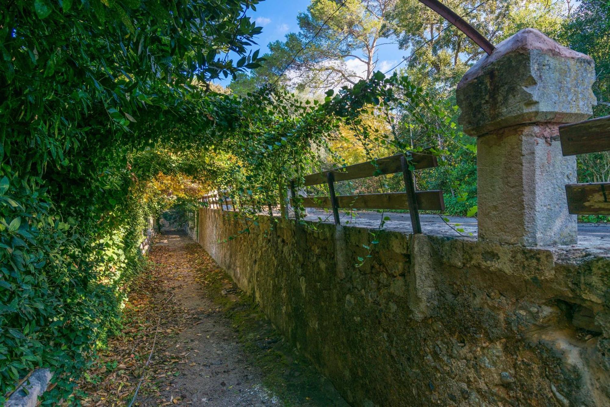 Son Vivot - Nº 5 Duplex Apto - Adults Only